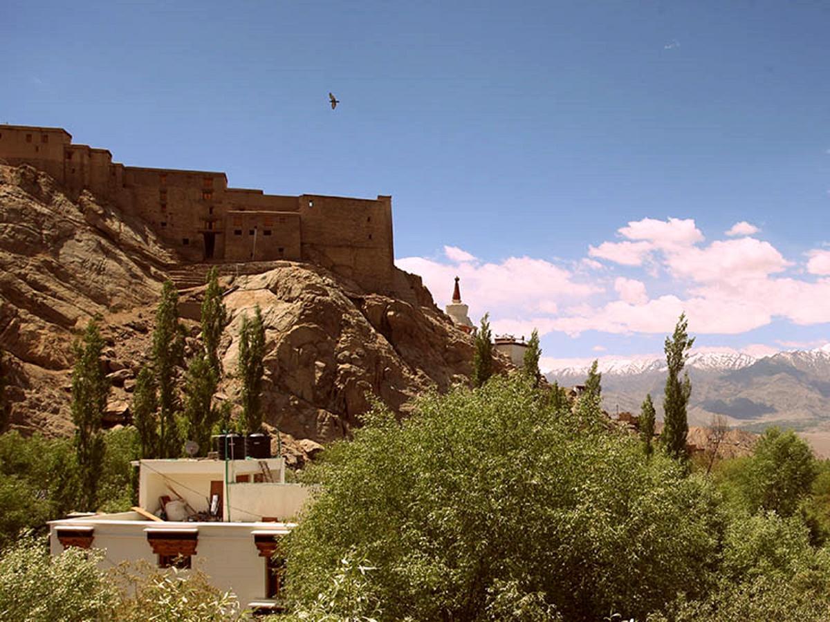 The Hotel Himalaya, Leh Kültér fotó